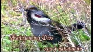 Ang Karunungan ng Dios Original Song by Jeb Bersabal amp Henry Gubaton [upl. by Stanislas266]