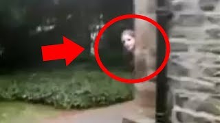 Real Ghost Caught On Camera Top 5 Scary Haunted Houses [upl. by Oca]