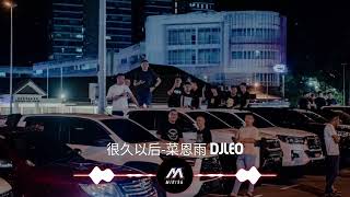 很久以后蔡恩雨remix DjLeo MIRI96 only use in miri [upl. by Star447]