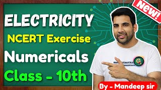 Class 10 Electricity Numericals  Exercise Questions  Class 10 science electricity numericals [upl. by Eilsek485]