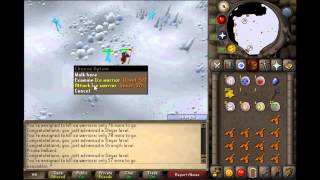 safe spotting ice warriors with melee osrs [upl. by Soane]