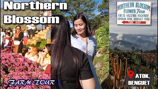 Atok Benguet Tour  Northern Blossom Flower Farm [upl. by Eiser]