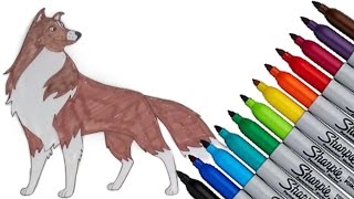 The New Adventures of Lassie Coloring page 2017 New HD Video for Kids [upl. by Hamnet]