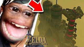 Black Guys UNEXECPTED Joruney To Divine Beast VAH NABORIS in Zelda Breath Of The Wild Part 13 [upl. by Fern]