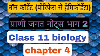 नॉन कॉर्डेट्स नोट्स part 2 Class11 biology Chapter 4 notes in hindi Animal kingdom [upl. by Eelyab447]