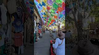 San Jose del Cabo street life [upl. by Nahshu]