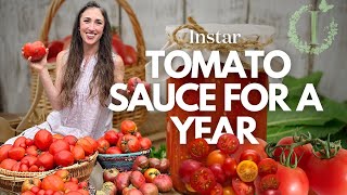 The Ultimate Guide to Preserving Tomatoes [upl. by Lerud]