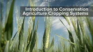 Introduction to Conservation Agriculture Cropping Systems [upl. by Airemahs]