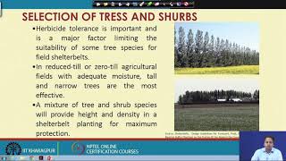 Lecture 50 Design of Shelterbelts [upl. by Josias]