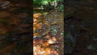 Small low head dam on the Deer Creek [upl. by Eerihs]