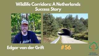 Restore Our Planet Podcast 56 Wildlife Corridors A Netherlands Success Story [upl. by Anrym]