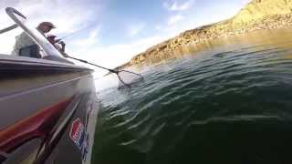 Fishing with The Captain on Fort Peck Reservoir [upl. by Etnaik]