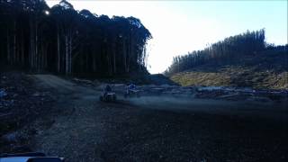 Yamaha Banshee Toomey T5 vs DMC Alien [upl. by Aihsiyt]