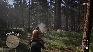 Rdr2 Skinner Brothers Ambush [upl. by Anah]