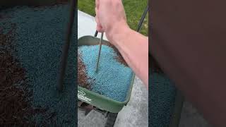 Reseeding my lawn after sand leveling pt 6 lawn diy [upl. by Oniluap27]