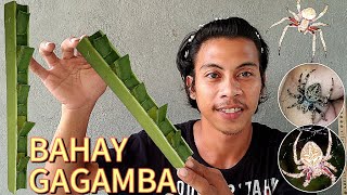 PAANO GUMAWA NG BAHAY NG GAGAMBA TUTORIAL GAWA SA SAGING [upl. by Ajnot823]