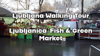 Ljubljana Walking Tour  Ljubljanica Fish amp Green Market [upl. by Levenson280]