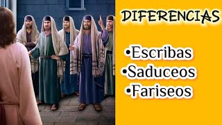 Quienes eran los fariseos saduceos y escribas [upl. by Bear290]