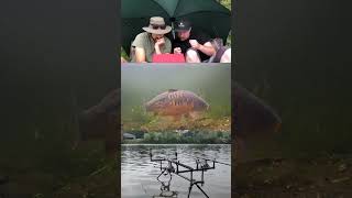 Lost my mind 🤣 fishing carping carp underwater shorts carpfishing catchandrelease carprun [upl. by Nhtanhoj]