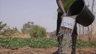 Irrigation in Ghanas Upper West Region [upl. by Crawley]