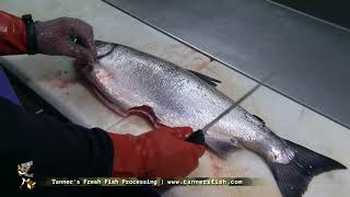 How to Fillet a Salmon by Tanners Fish Alaska [upl. by Kreg]