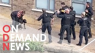 Met Police Shoot Two Dogs and Taser Man in East London [upl. by Cristoforo]