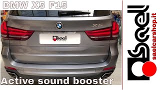 Active sound booster Kufatec BMW X5 F15  Sael snc [upl. by Alisia203]