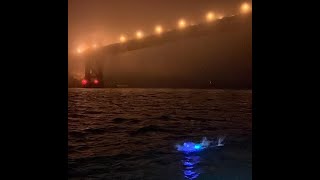 Amy Appelhans Gubser  Golden Gate Bridge to Farallon Islands swim [upl. by Thissa]