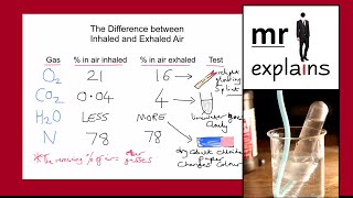 mr i explains The Difference between Inhaled and Exhaled Air [upl. by Ianej]