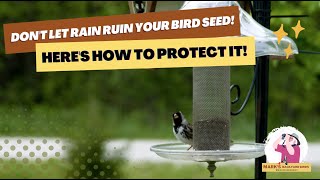 Protecting Bird Seed From Rain [upl. by Sivi]