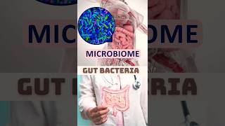 Improve Your Gut Health The Key to a Healthy Microbiome guthealth [upl. by Ellinnet]