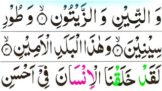 Surah AtTeen  Wattini Wazzaituni Beautiful Tilawat Surah Teen  Tin   Watteeni Wazzaitun [upl. by Juni]