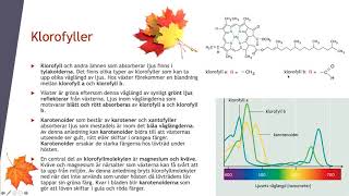 Fotosyntesens biokemi  Biologi 2 100 p [upl. by Uyr]