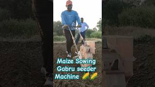 Maize Sowing Grabu Machine shorts farming sowingseeds [upl. by Charlean]