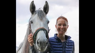 Gebisslose Zäumungen  wann sie dem Pferd schaden können [upl. by Sila]