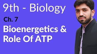 Matric part 1 Biology Bioenergetics and role of ATP  Ch 7 Bioenergetics  9th Class Biology [upl. by Ydorb]