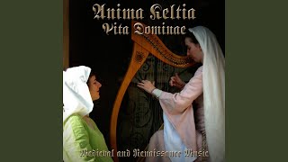 Douce dame jolie French Medieval Love Song Performed on Harp and Bodhram [upl. by Rumit209]