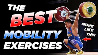 Top Mobility Exercises for Weightlifting Upper and Lower Body [upl. by Neruat]