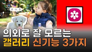 갤러리 업데이트 후 꼭 해봐야 할 신기능 생성형 AI 사진 편집 갤러리 AI 편집 갤럭시 S23 기준 [upl. by Eanod]