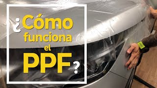 ¿Cómo funciona el PPF Paint Protection Film el protector de carrocería autoregenerativo [upl. by Ayoj]