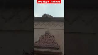 Nagari Ho Ayodhya Si kaun sa Gharana Hotranding viral  Jay Bajrangbali Ayodhya Dham🙏🙏 [upl. by Enom]