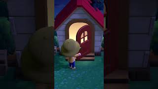 Animal Crossing New and Old 23 animalcrossingnewhorizons nintendo animalcrossing [upl. by Neirb870]