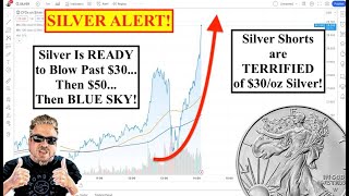 SILVER ALERT Silver Is READY to Blow Past 30ozThen 50ozThen BLUE SKY Bix Weir [upl. by Esaele]