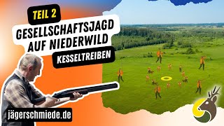 🐰Gesellschaftsjagd auf Niederwild  Kesseltreiben Teil 22 🐰 Sicher zur Jagdprüfung [upl. by Olenka]