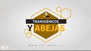 Chilebio quotTransgénicos y abejasquot [upl. by Aizirtap342]