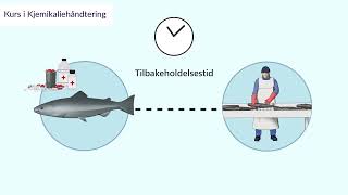 Kurs i Kjemikaliehåndtering Sikker bruk og risiko for ansatte i havbruksnæringen [upl. by Stratton]