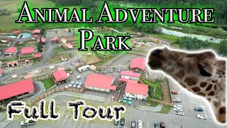 Full Tour of Animal Adventure Park Harpursville New York  New Exhibits and most Animals 2022 [upl. by Ahsekahs]