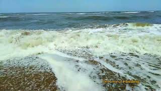 Beautiful Sea  Alaiye sitralaiye Waves  Sea  Beach scene  kadhalsadugudu relaxing [upl. by Nottap667]