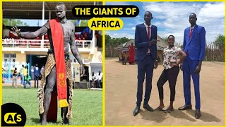 The giant tribe of Africa  The Nilotic People [upl. by Sikata]