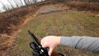 The most powerful commercial pellet gun in the world 72 cal Zeus [upl. by Aitnahs895]